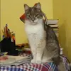 Отзыв от Дина Троицкая